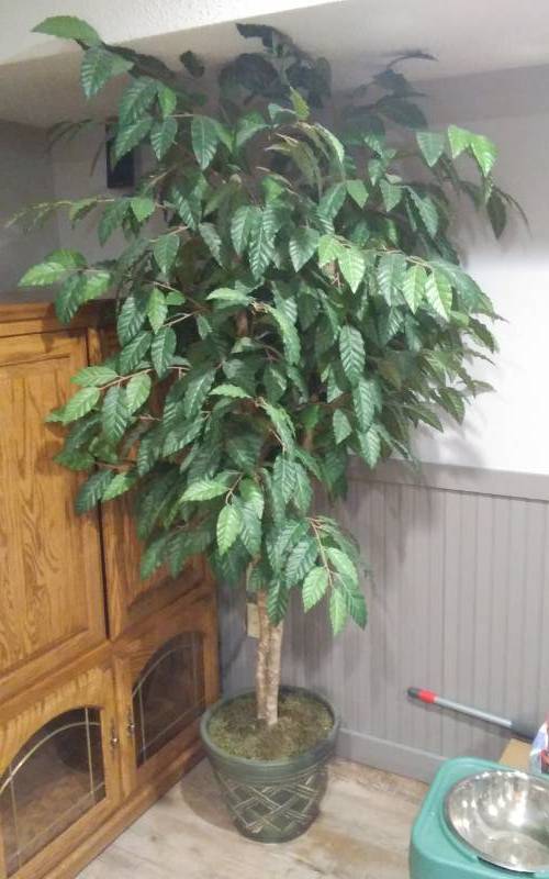lot 63 image: 6 Foot Artificial Tree