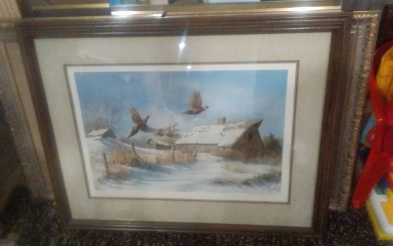 lot 84 image: Framed Wildlife Print By Richard Plasschaert (Pheasants) Signed & Numbered 37x29