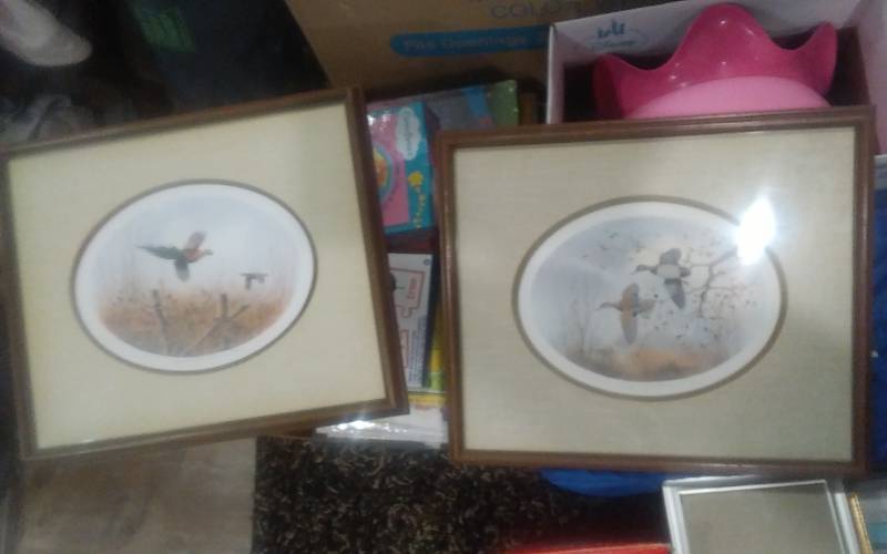 lot 85 image: 2-Framed Wildlife Prints By David Hagerbaumer (Mallards & Pheasants) 16x14 Signed & Numbered