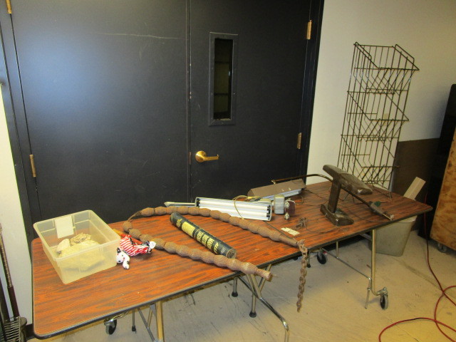 FOSSILS, DESK LAMPS AND MORE