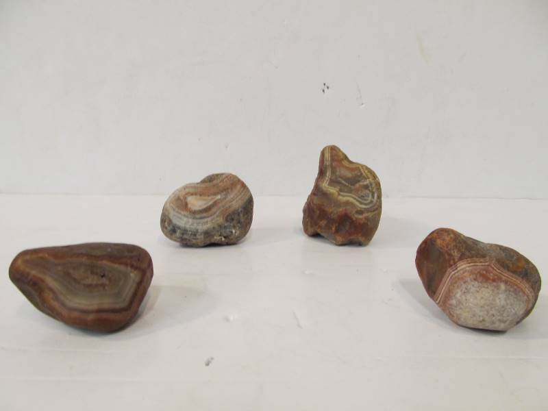 lot 85 image: Nice Group of 4 Larger Sized Agates