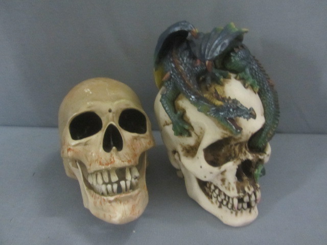 lot 98 image: Skulls