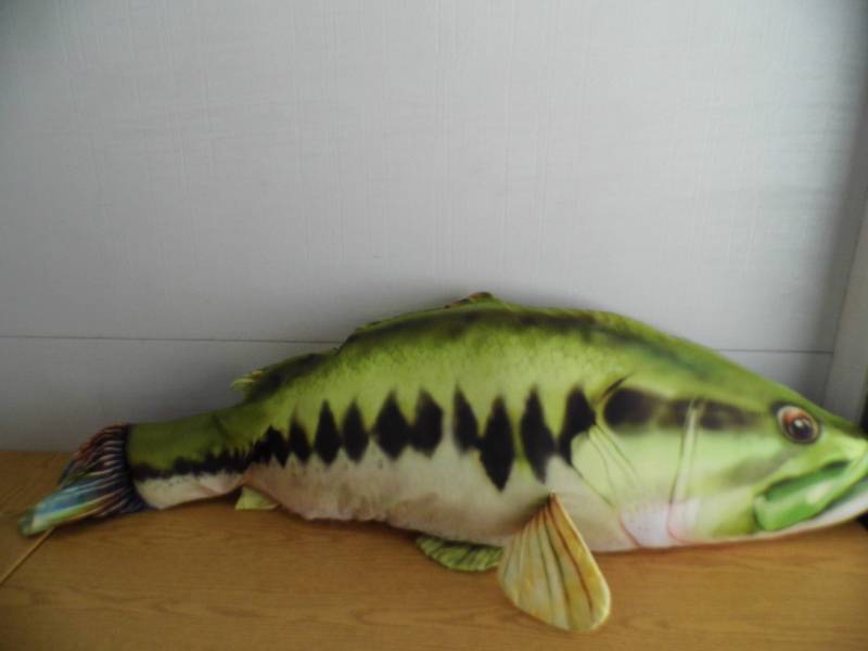 Fish Pillow