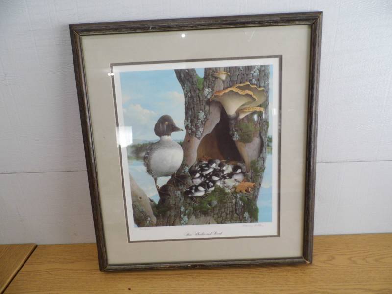 Hen Whistler and Brood Print - Frame