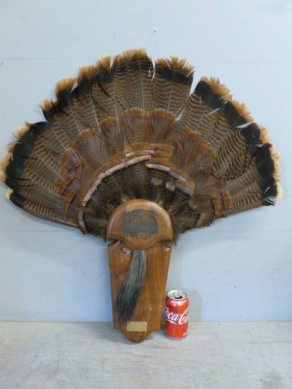 lot 39 image: Mounted Turkey Fan