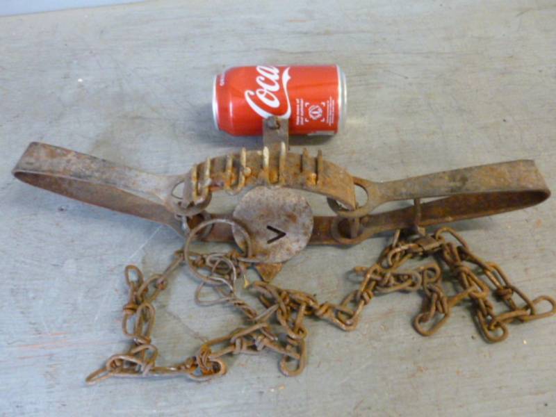 lot 80 image: Wolf Trap