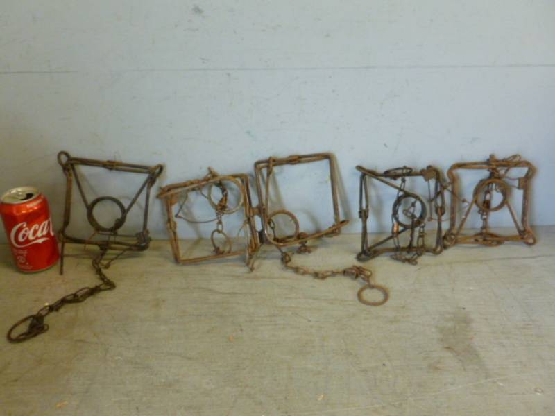 lot 86 image: Caniber Traps