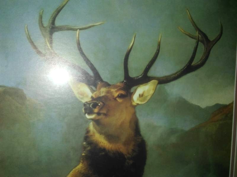 lot 141 image: Monarch of the Glen