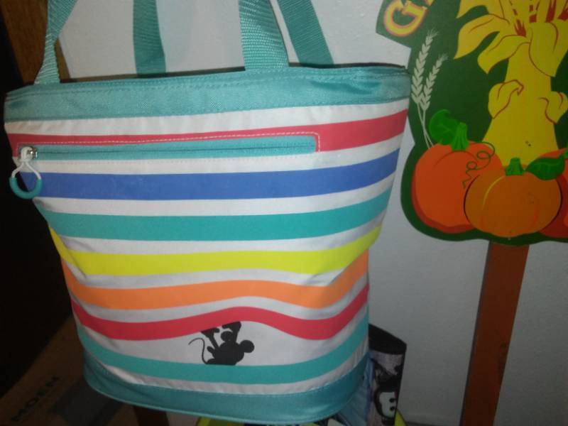 lot 300 image: Miscellaneous Mickey Mouse Industrial insulated bag - Disney.