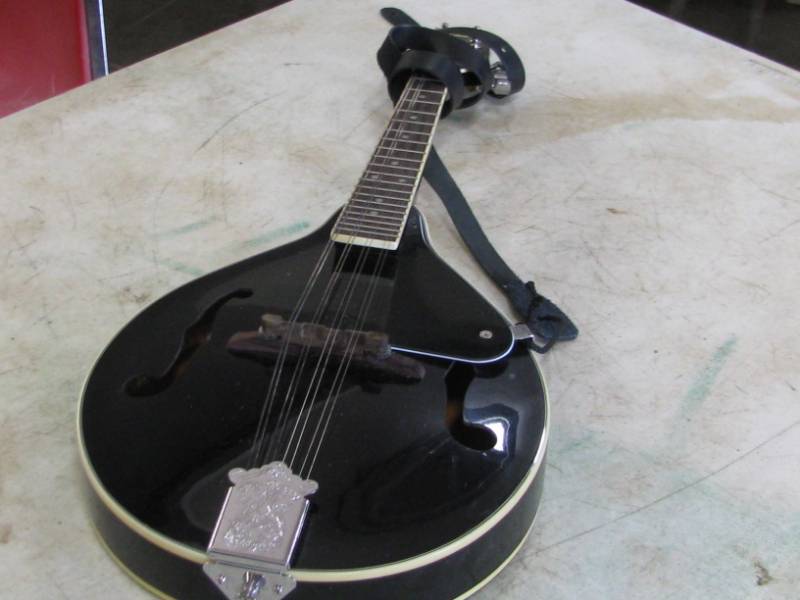 lot 49 image: Rogue Mandolin