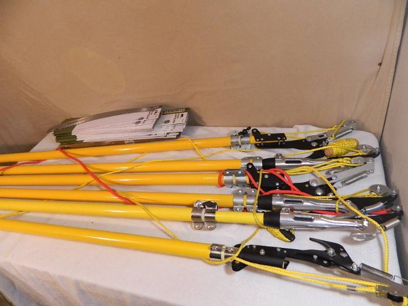 lot 165 image: Bulk Telescoping Tree Trimmers with Bulk Blades