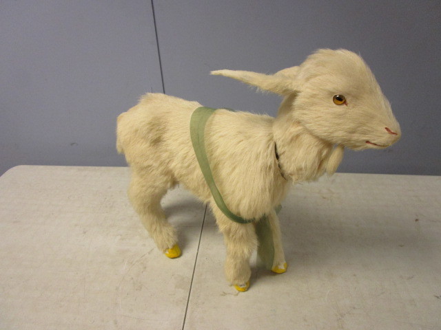 lot 247 image: TAXIDERMY  GOAT
