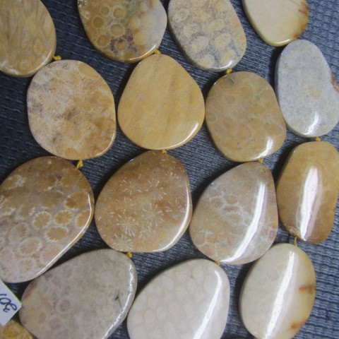 Yellow Coral