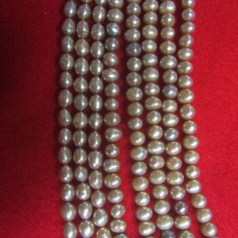 Champagne Fresh Water Pearls