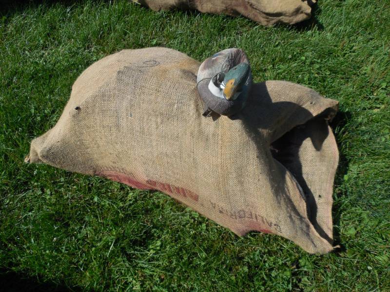 DUCK DECOYS