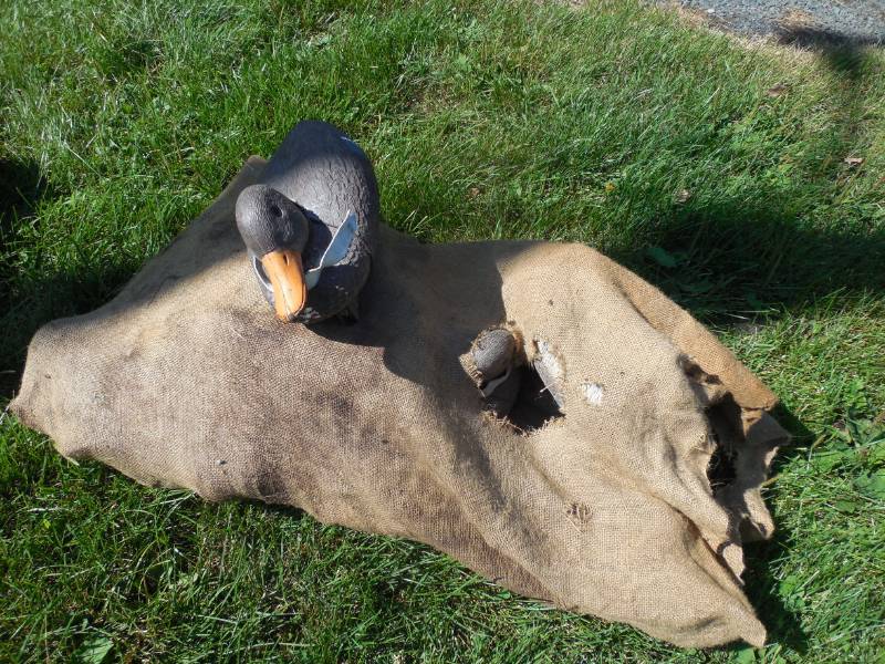DUCK DECOYS