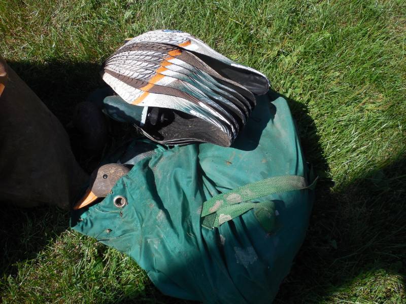 DUCK DECOY