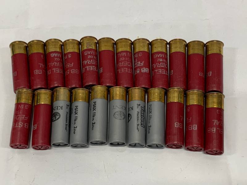 lot 26 image: 24ea 12 Gauge 3 Shells