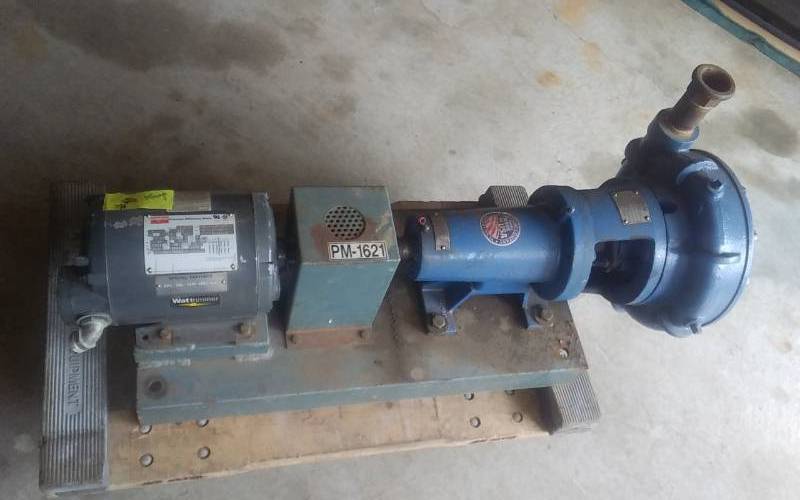 lot 35 image: Dayton Wat-Trimmer Motor On PM1621 Carver Pump