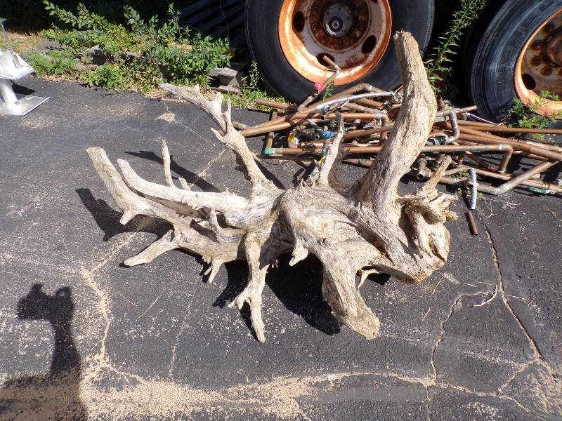 lot 54 image: Drift Wood Dcor Stump