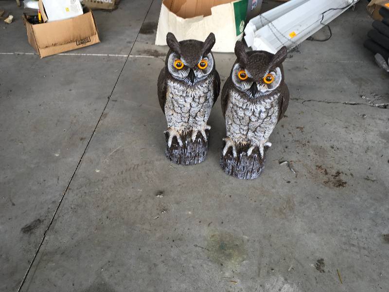 lot 79 image: Two Owls Statues