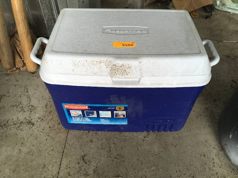 lot 142 image: Rubbermaid 48 Quart Ice Chest