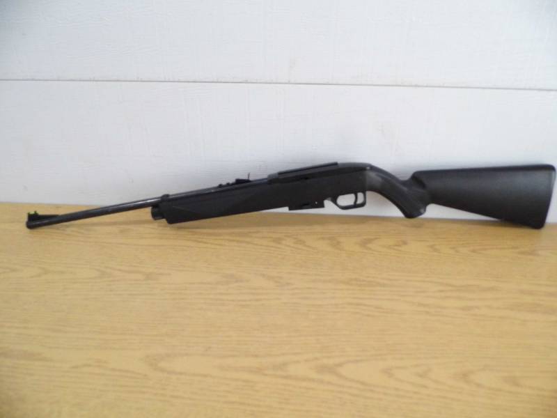 Pellet Gun