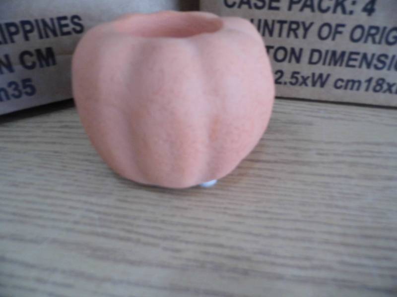 Lot of 2 Cases Pumpkins
