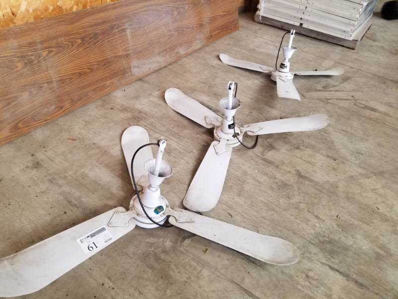 lot 61 image: Lot of (3) Shop Ceiling Fans