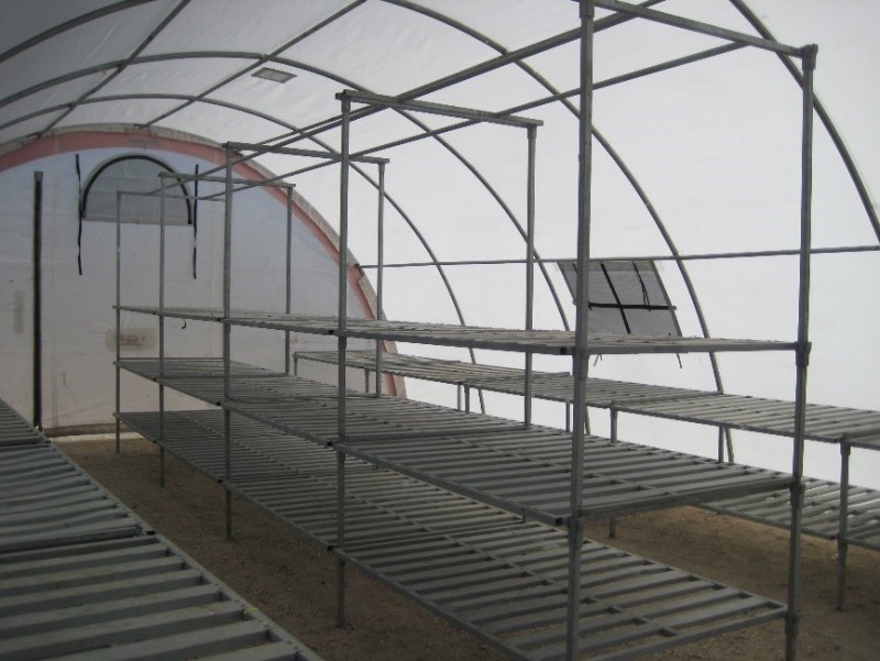 Commercial 20x30 Greenhouse Shelter