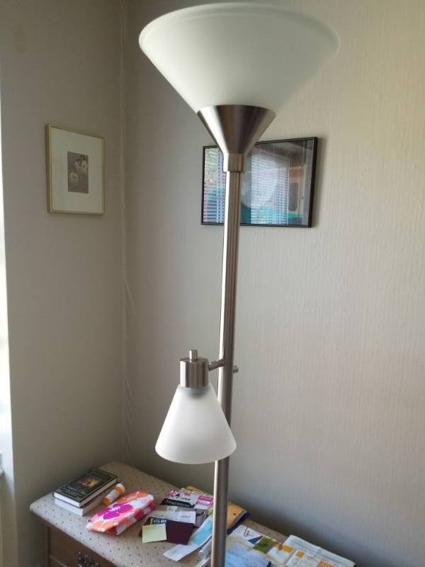 Modern Silver Floor Lamp with Bonus Reading Lamp