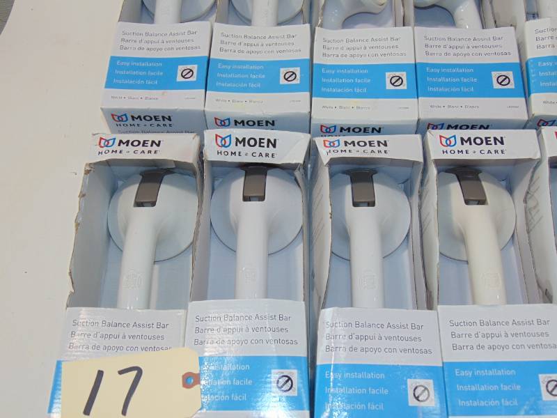 12 MOEN 12 in  Suction Bars