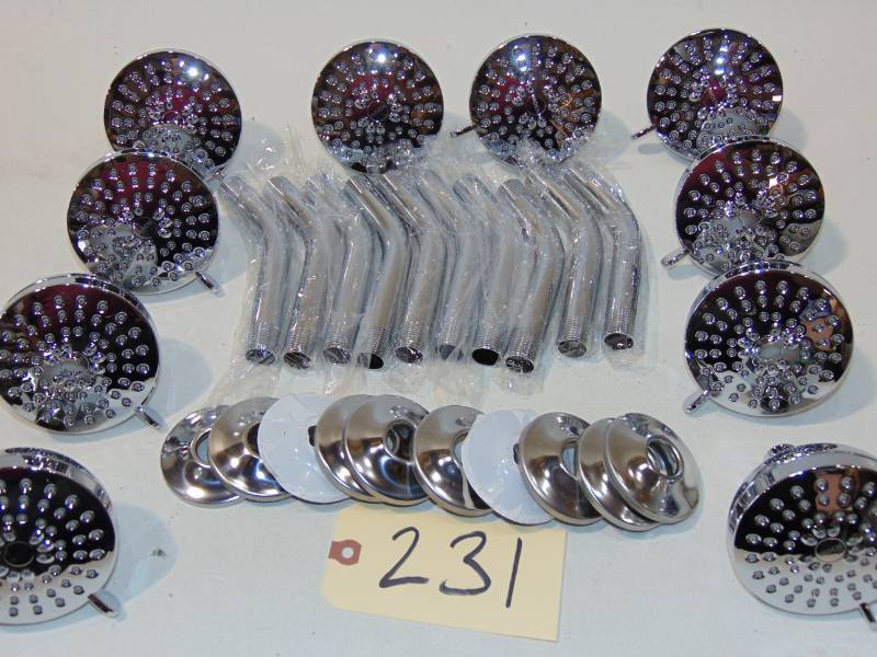 10 Showerhead in Chrome 4-Spray Pattern