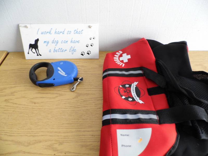 lot 12 image: Dog Life Vest - Leash