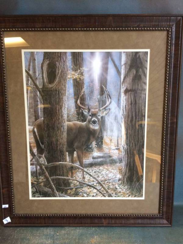lot 3 image: Deer Picture