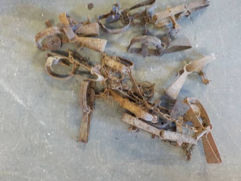 lot 87 image: Traps...