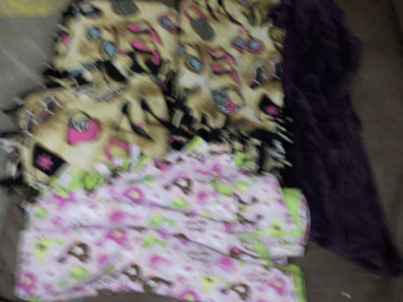 lot 188 image: 3 Fleece Throws and 2 Pillows...