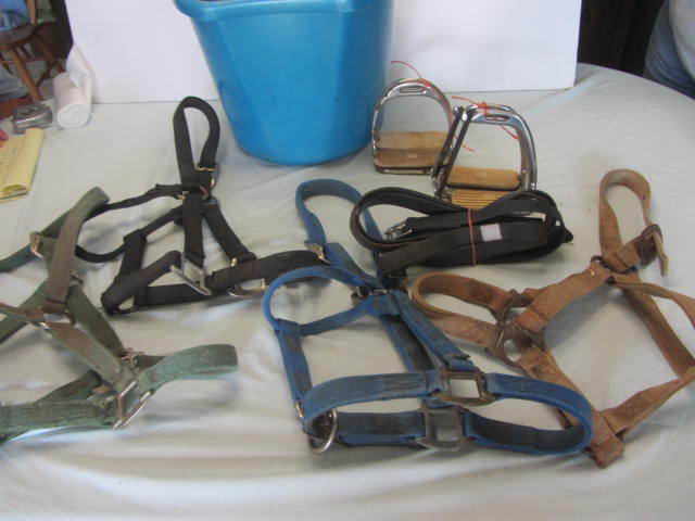 Stirrups & Leathers, Halters