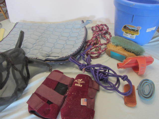 Saddle Pad, Lead Rope, Halter, Brushes