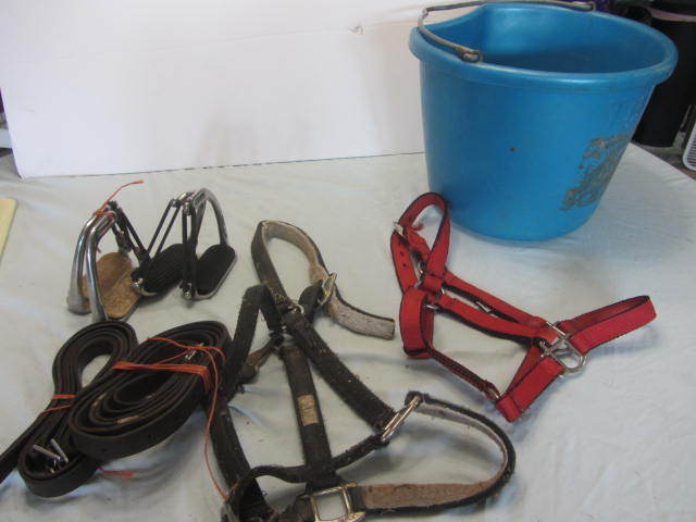 Stirrups & Leathers, Halters