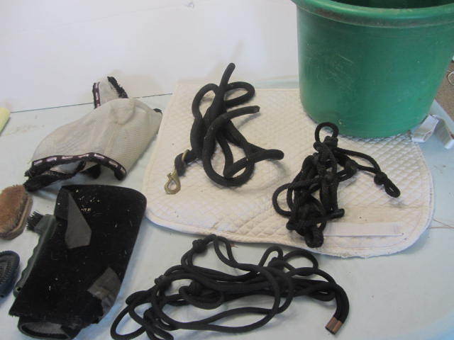 Lead Rope, Fly Mask, Halters