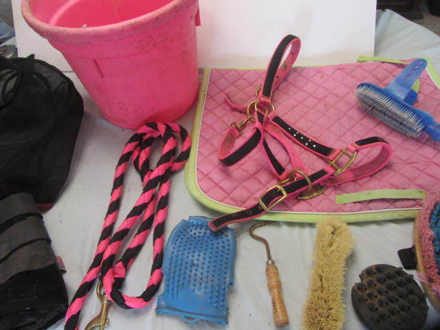 Saddle Pad, SMG, Halter