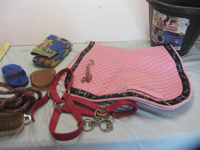 Saddle Pad, Brushes, Lead Rope