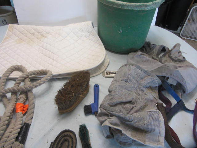 Saddle Pad, Fly Boots, Brushes