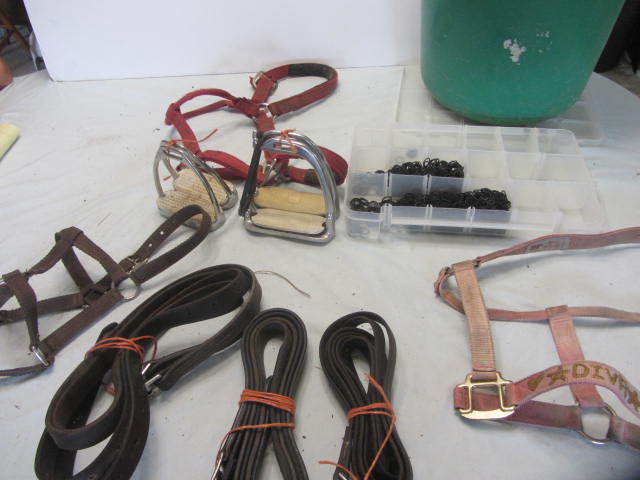 Stirrups & Leathers, Dressage Bands
