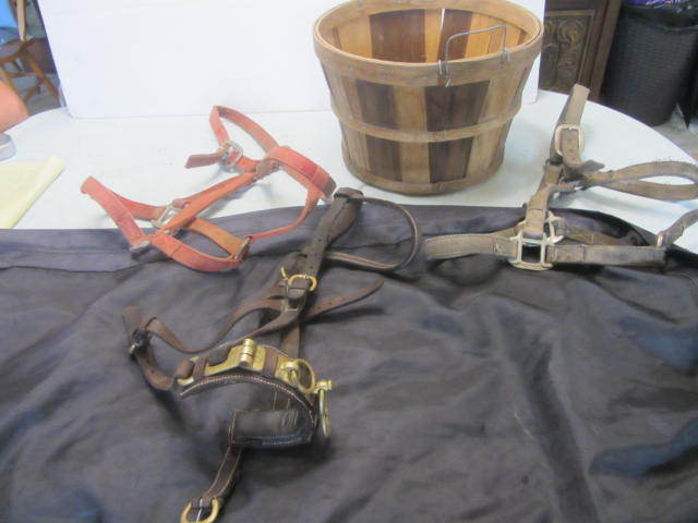 Halters, Cavesson, Hay Bag