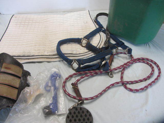 Saddle Pad, Jump Boots, Halter