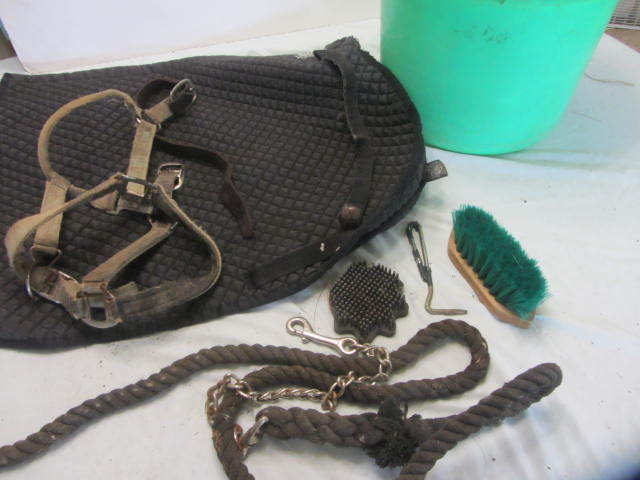 Dressage Pad, Breakaway Halter