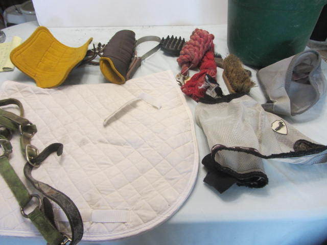 Front Boots, Shedding Blade