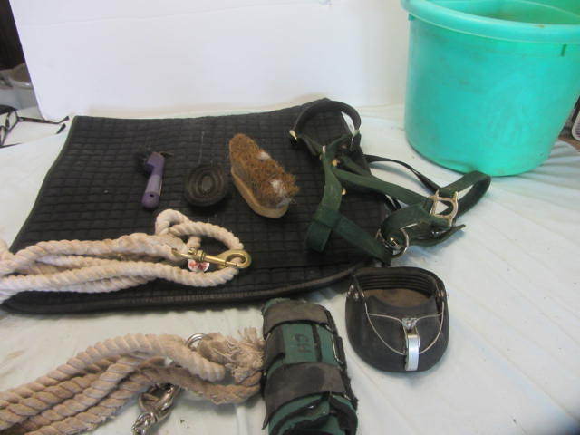 Dressage Pad, Lead Ropes